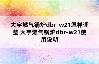 大宇燃气锅炉dbr-w21怎样调整 大宇燃气锅炉dbr-w21使用说明